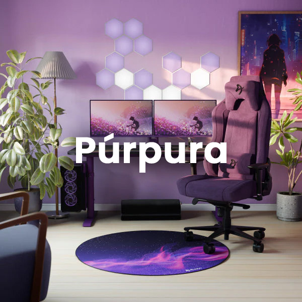 Arozzi setup purpura