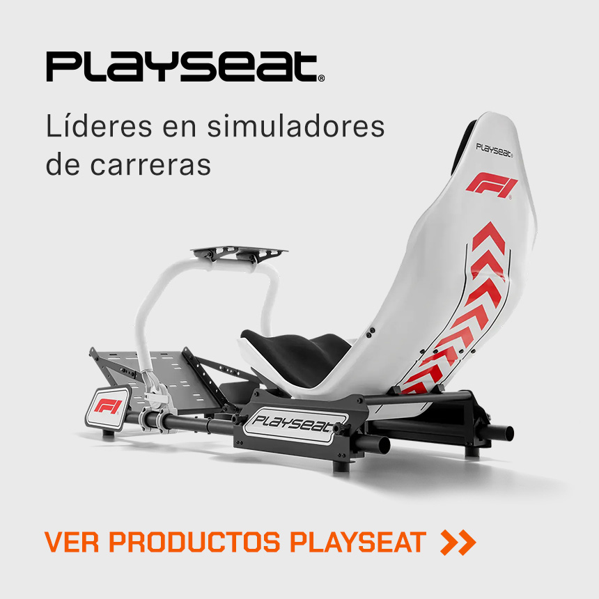 Accceso página principal de Playseat